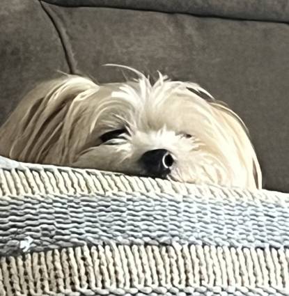 GIGI Profile Image