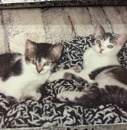 Lily & Callie Anns