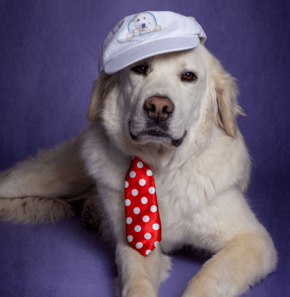 Yukon Profile Image
