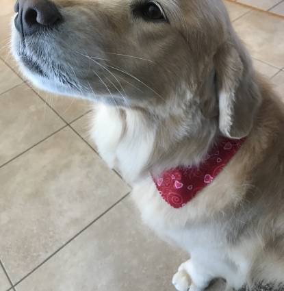 Sophie