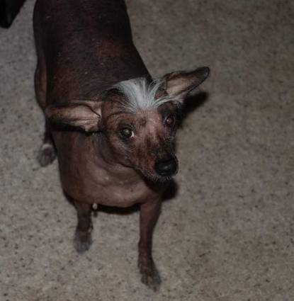 Artie Profile Image
