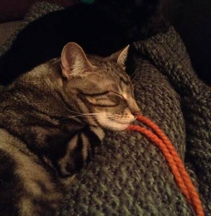 Xena & Zora