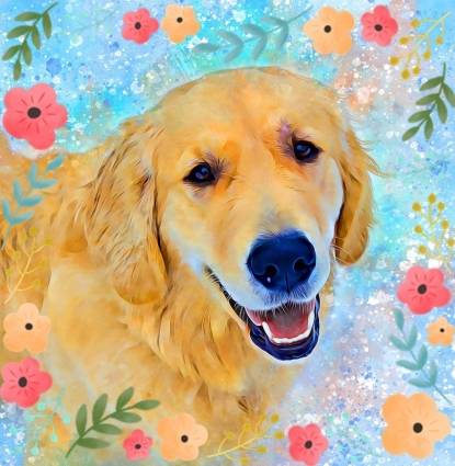 Floyd  Profile Image
