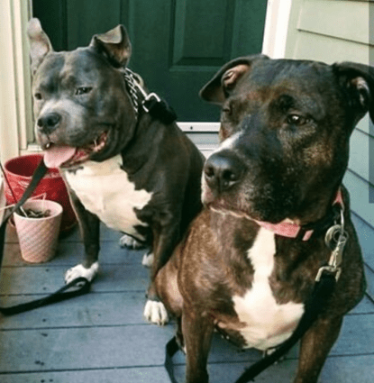 King and Nena Profile Image