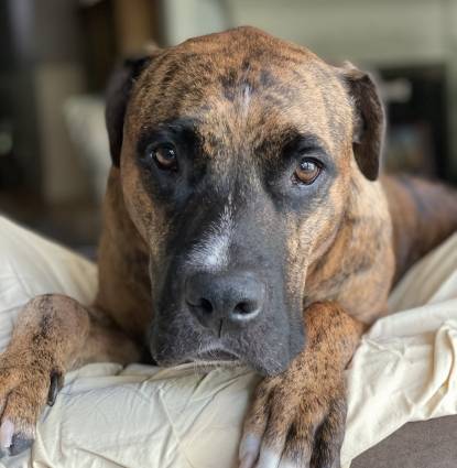 Tucker Profile Image