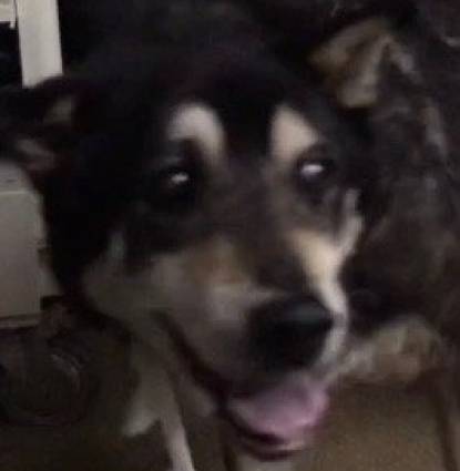 Maddox Profile Image