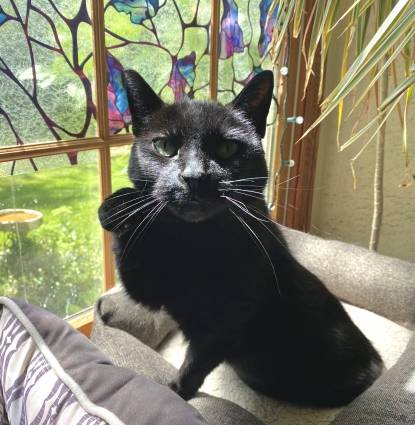 Salem Profile Image