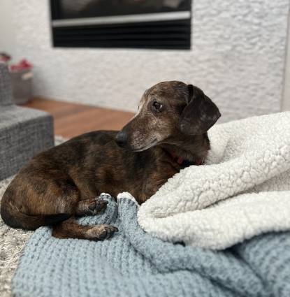 Beau Weiner  Profile Image