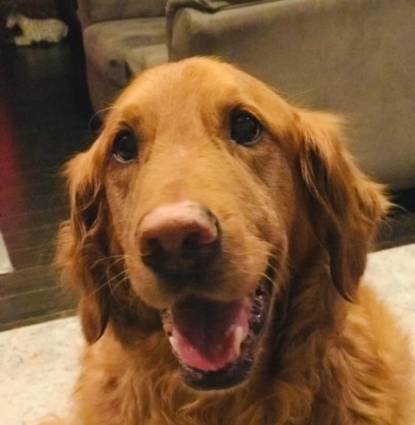 Grady Profile Image