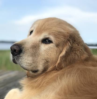 Tanner Hero #1070 Profile Image