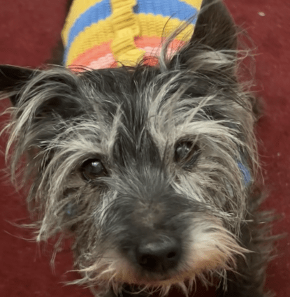 Bobby Profile Image