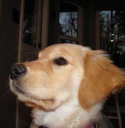 Macey Profile Image