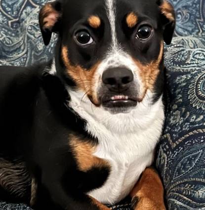 Marvin Profile Image