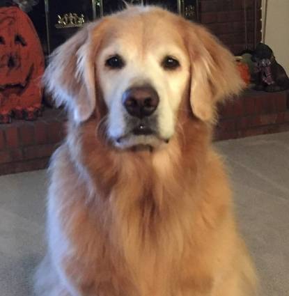 Sam