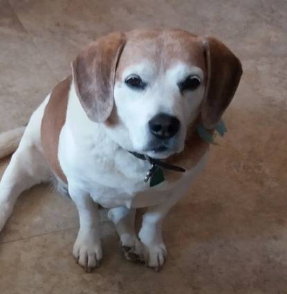 Benny