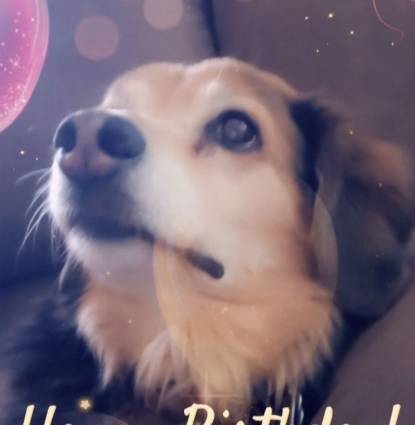 Brandi Profile Image