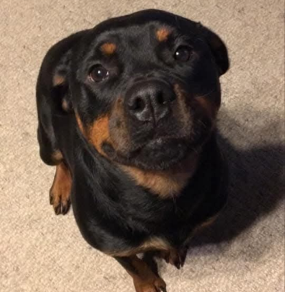 Lola Profile Image
