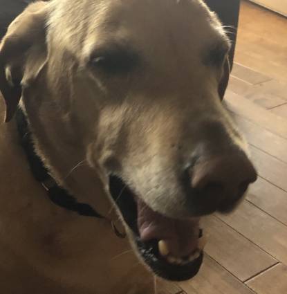 Wrigley Profile Image