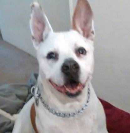 buster