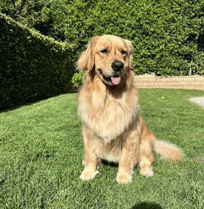 Kona Austin Profile Image