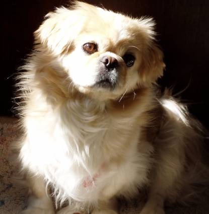 Lily Profile Image
