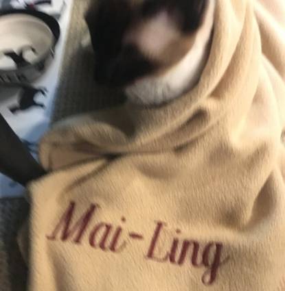 mailing