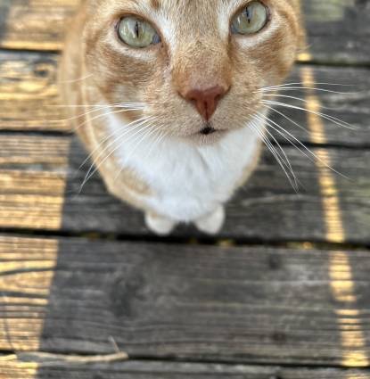 Morty