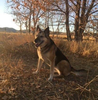 Riley AKA One Eye Rye Profile Image