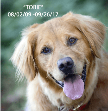 Tobie Profile Image