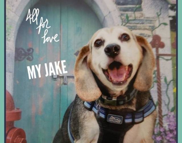 Jake Profile Image