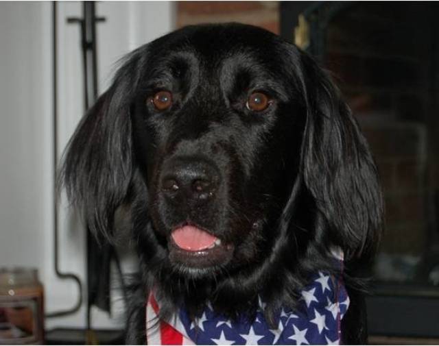 Owen Profile Image