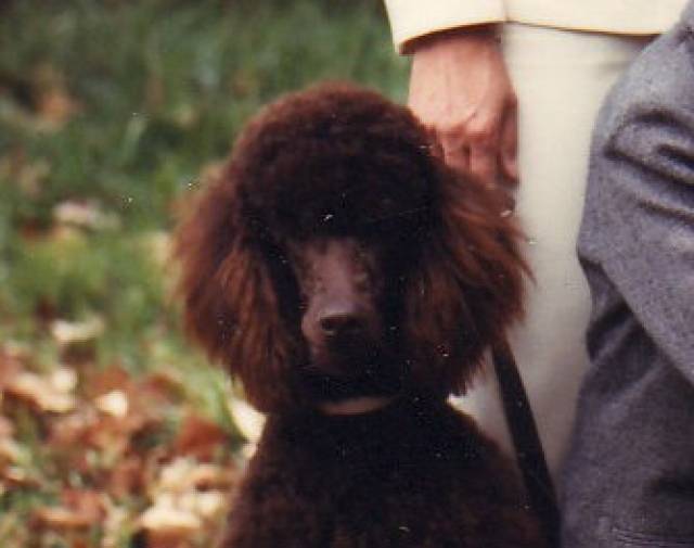 Tillie Profile Image
