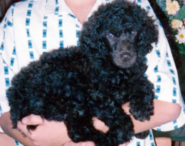 Tillie Gallery Image 2