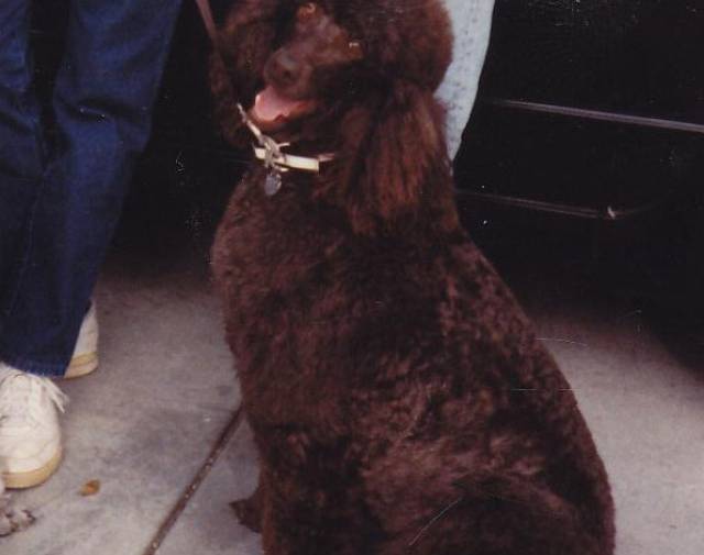 Tillie Gallery Image 4