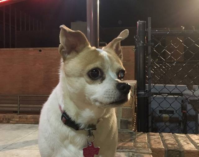 Sally Mae  Profile Image