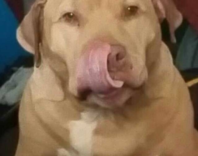 Maxx Thomas Profile Image