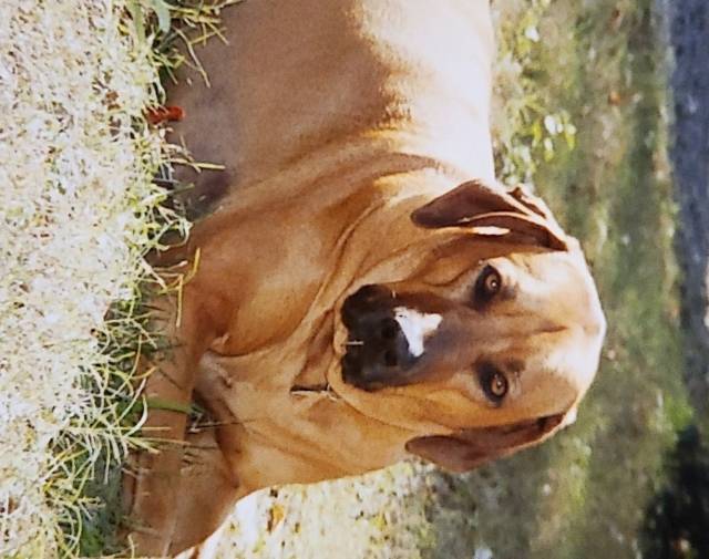 Sadie Gallery Image 5