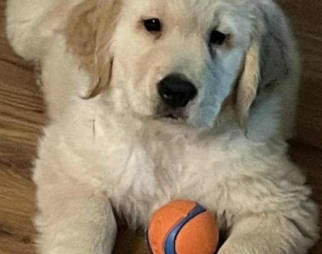 Tucker Profile Image