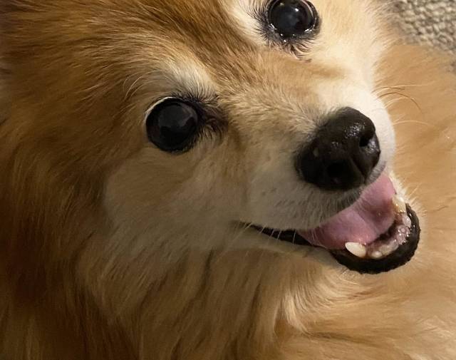 Harvey  Profile Image