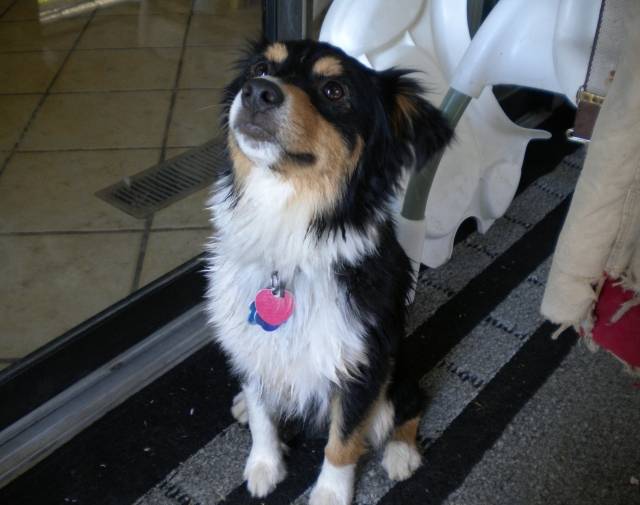 ❤️