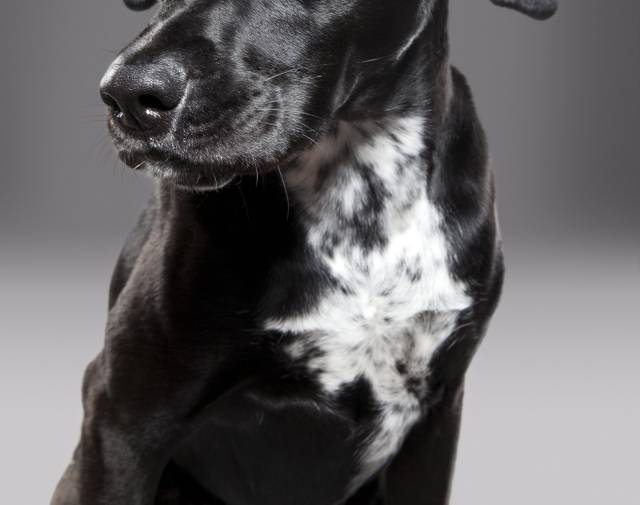 Nash Profile Image
