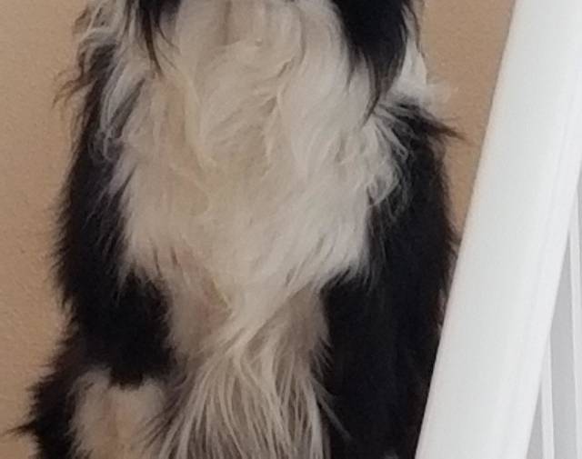 Jake  Profile Image