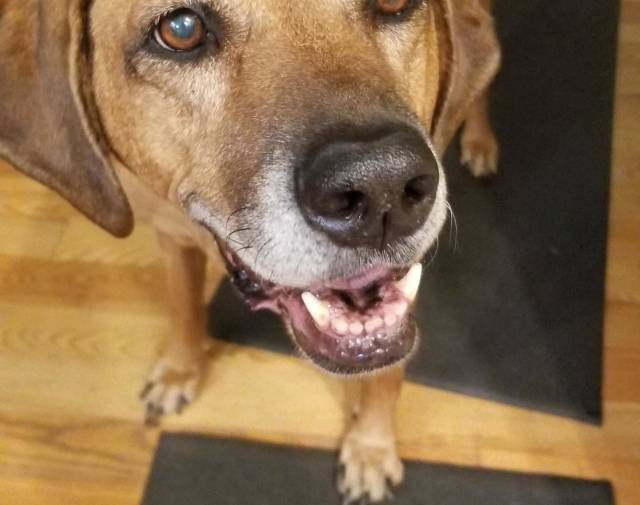 Sadie Gallery Image 4