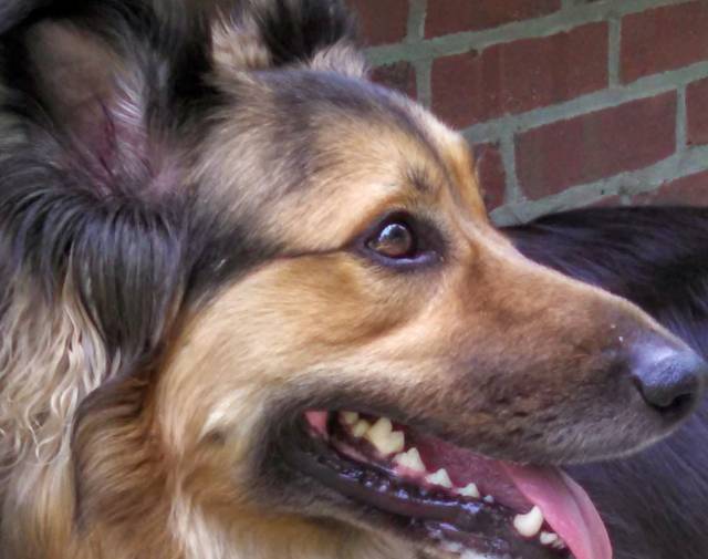 ROCKY Profile Image