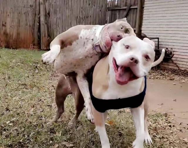 Phoebe and her little sister being silly