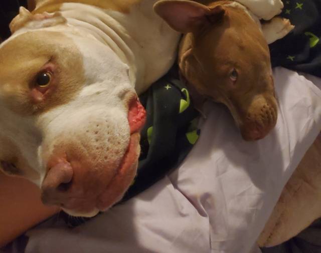 Cuddle time!