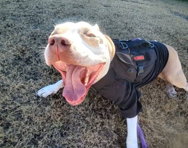 A really good walk