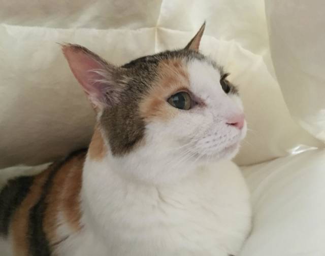 George Profile Image