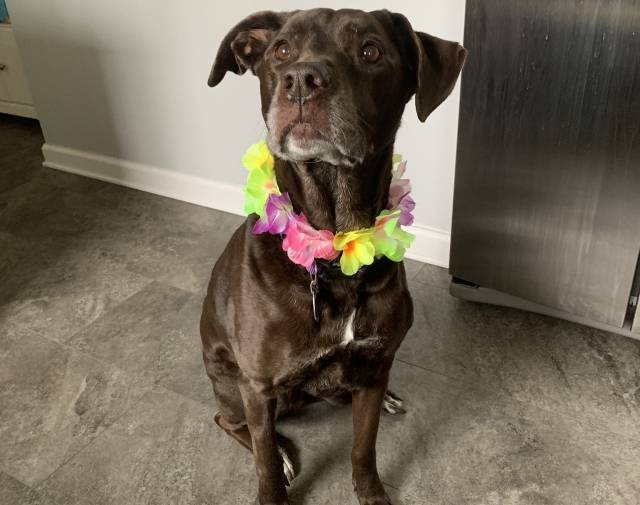 Such a pretty girl