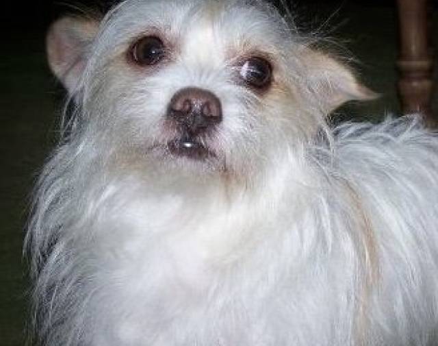Sweetie Profile Image